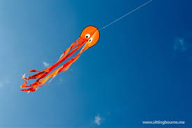 Image result for Kent Kite Flyers Club