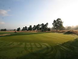 Image result for Hankley Common Golf Club