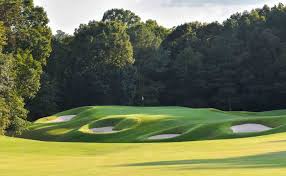 Image result for Overton RFC Club