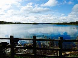 Image result for Rother Valley