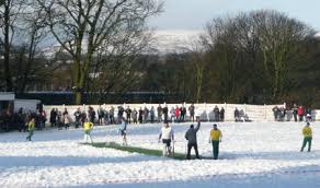 Image result for Brooksbottom Cc