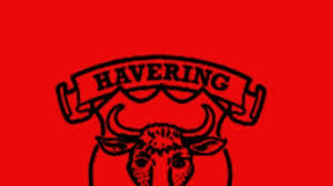 Image result for Havering Skater Hockey Club