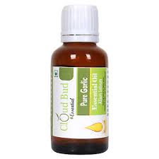 Attēlu rezultāti vaicājumam “Allium sativum bud”