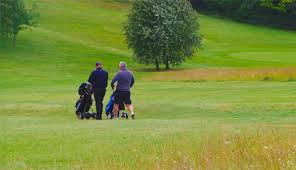 Image result for Guildford Gold Club