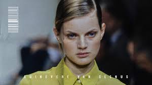 Image result for Guinevere van Seenus