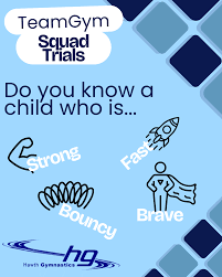 Image result for Hawth Gymnastics, Crawley