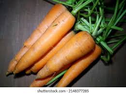 Attēlu rezultāti vaicājumam “Daucus carota subsp. carota fruit”