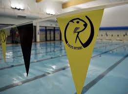 Image result for Cults Otters Amateur Swimming Club