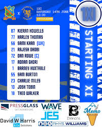 Image result for Ynysygerwn Cricket Club