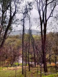 Image result for Strathbogie Rambling Club