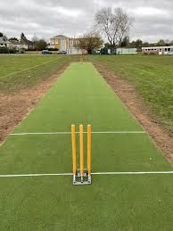 Image result for Wimbledon Cricket Club