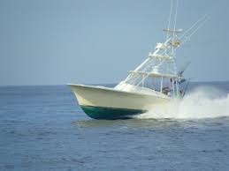 Image result for Hull Csc