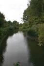 View upriver on the Thames from stood on the tree root SP3700 : Under the - via Daymix