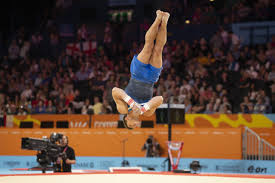 Image result for West Lothian Artistic Gymnastic Club