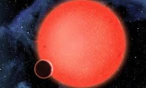 Image result for Wild Water Planet
