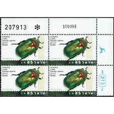 Attēlu rezultāti vaicājumam “Potosia cuprea”
