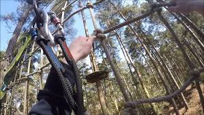 Image result for Go Ape! Alice Holt