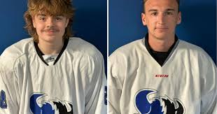 Image result for Basingstoke Buffalo