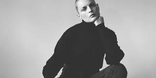Image result for Guinevere van Seenus