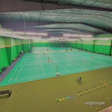 Image result for Regis Badminton Club