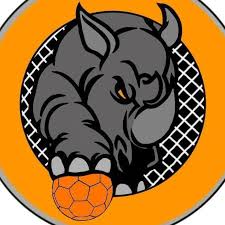 Image result for Portsmouth Tchoukball Club