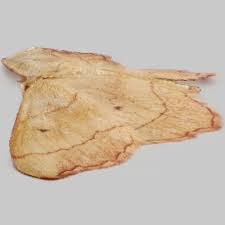 Attēlu rezultāti vaicājumam “Idaea emarginata”