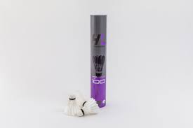 Image result for Feathers (New Milton) Badminton Club