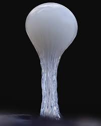 Attēlu rezultāti vaicājumam “Hemitrichia sp.”