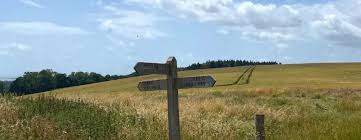 Image result for Chichester Runners & A C