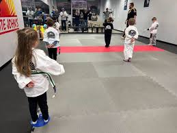 Image result for Hidden Dragon Karate-Do