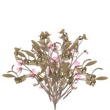 Attēlu rezultāti vaicājumam “Viscum album leaf”