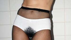 Image result for schamhaar