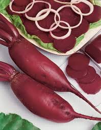 Image result for rote Bete