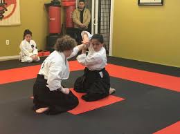 Image result for Ryuko Dojo