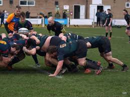 Image result for Northampton Old Scouts Rfc