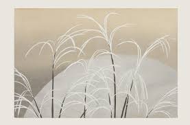 Image result for ,vhapuni神光琳