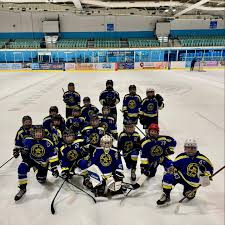 Image result for Guildford Ice Dance Club