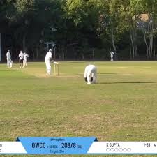 Image result for Old Woking Cricket Club