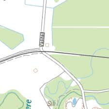 Attēlu rezultāti vaicājumam “Rhopalus maculatus imago”