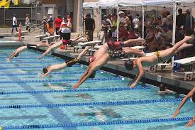 Image result for City of Preston Aquatics