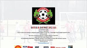 Image result for Oxted & District Junior Fc