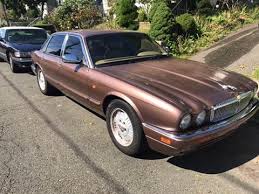 Image result for Rose Bronze 1995 Jaguar