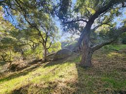 Image result for Polegate Rambling Club