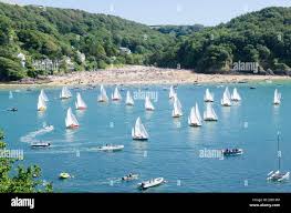 Image result for Salcombe Yacht Club
