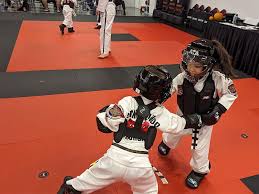 Image result for ATA Martial Arts Mobile