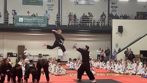 Image result for Dallo Martial Arts