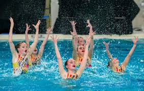 Image result for York University Pool Club