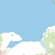 Attēlu rezultāti vaicājumam “Badhamiopsis praetermissa”