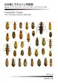 Attēlu rezultāti vaicājumam “Silvanidae”
