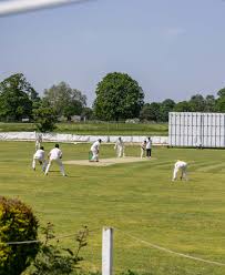 Image result for Hollingworth Cricket Club